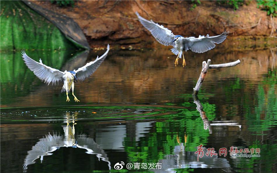 成人 免费 色情 电影