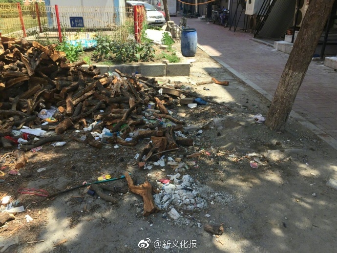 黄色网站在线观看Www.comm
