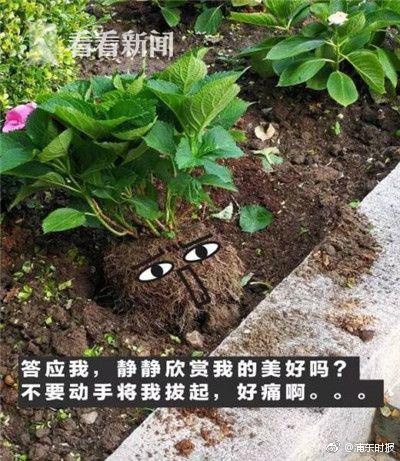 八重神子扒开胸罩 给男生看