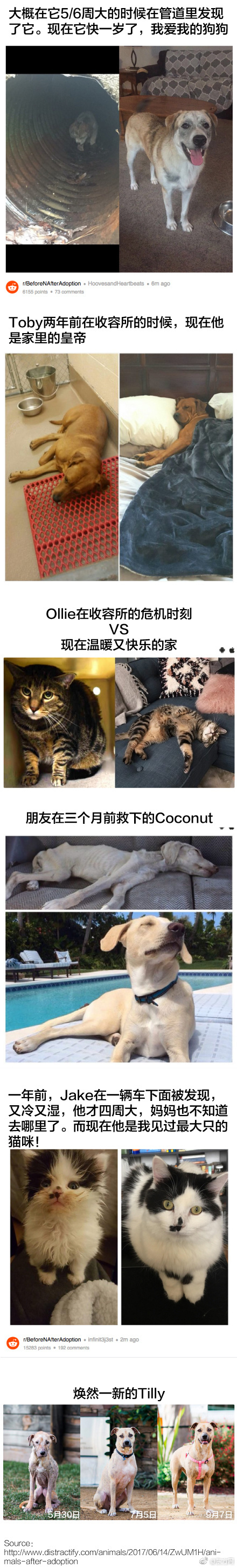加藤英子