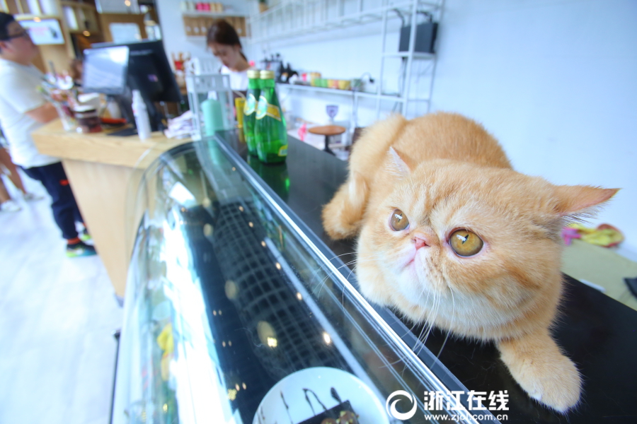 欧美色婷婷激情