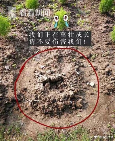 综合网美女Av