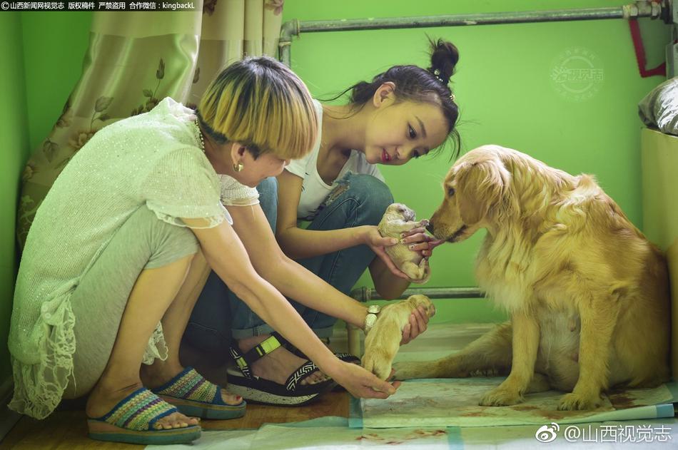 高清无码毛片二区