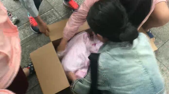 后宫动漫