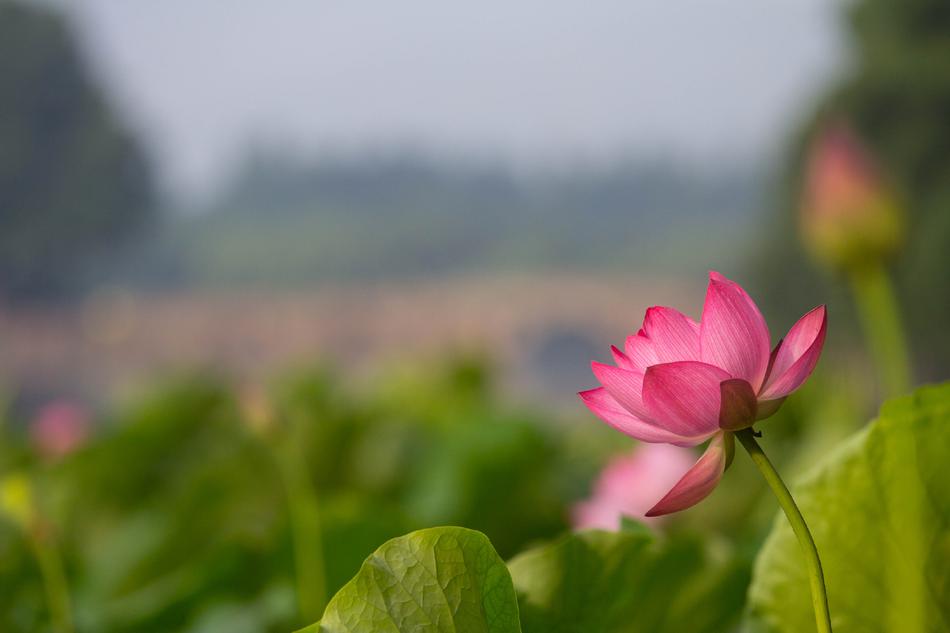 高清 无码 成人 电影