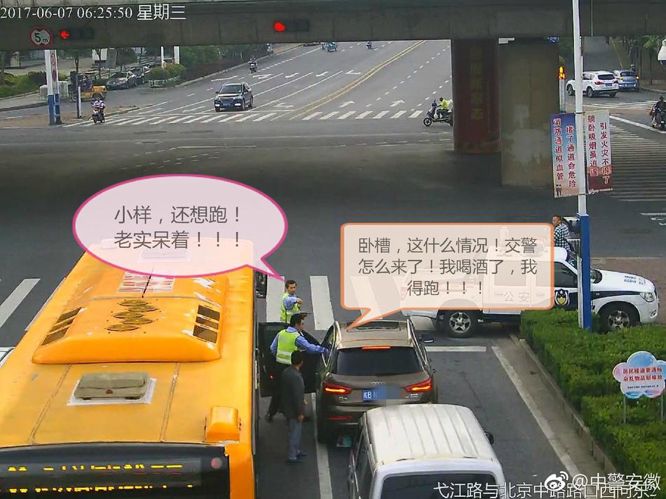 7799视频精品全部免费视频都是热门的吗