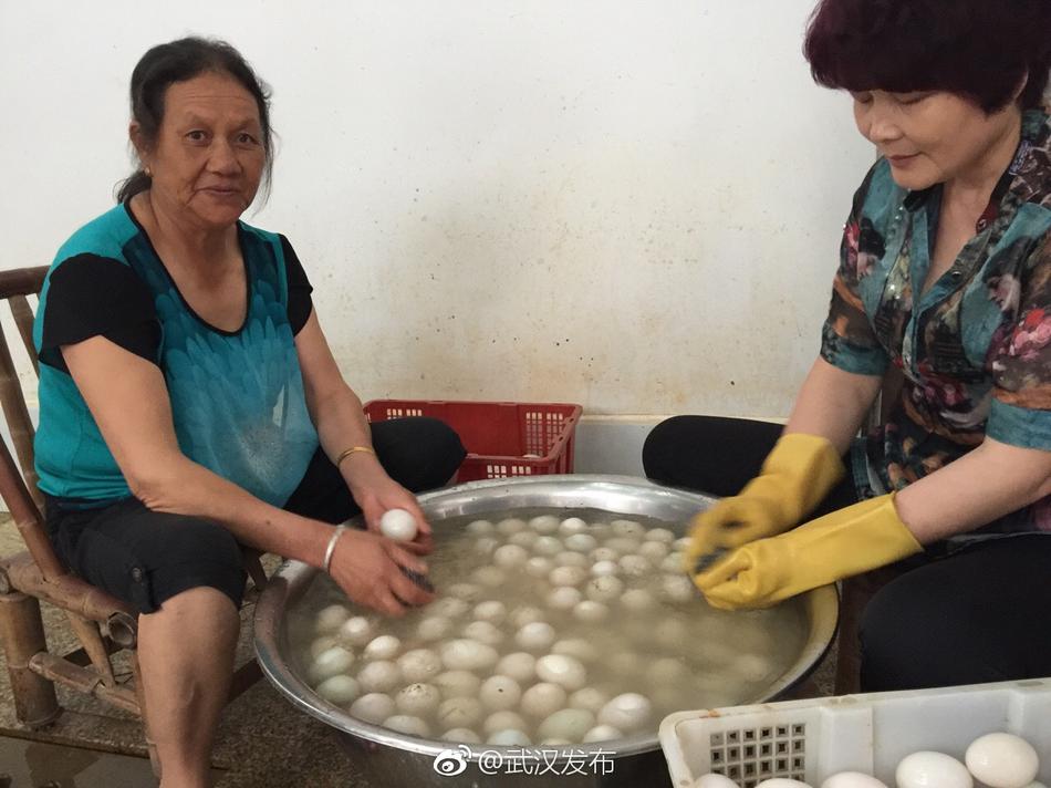 欧美人与牲禽发生性行为的后果