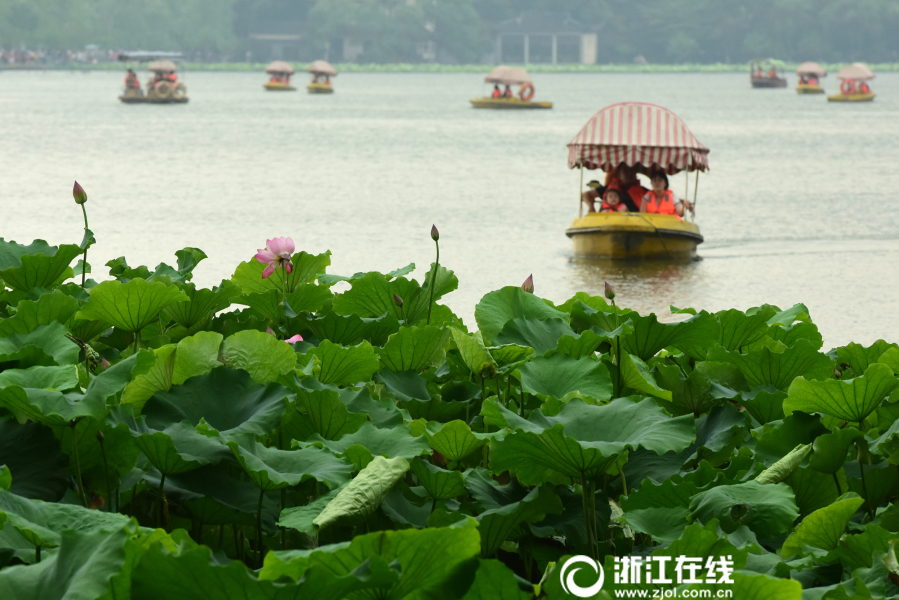 中文字幕激情Av