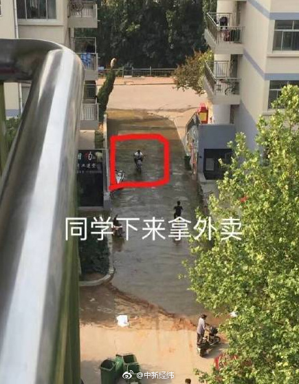 Xxxx中国老师
