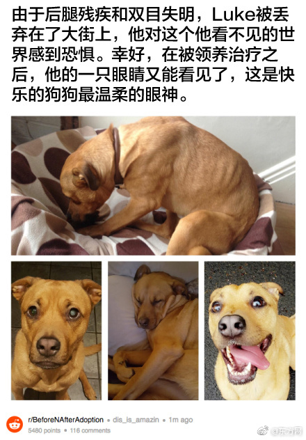 全部孕妇毛片丰满孕妇孕交少