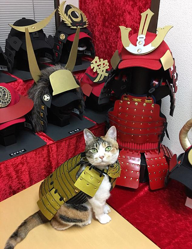狼友在线视频