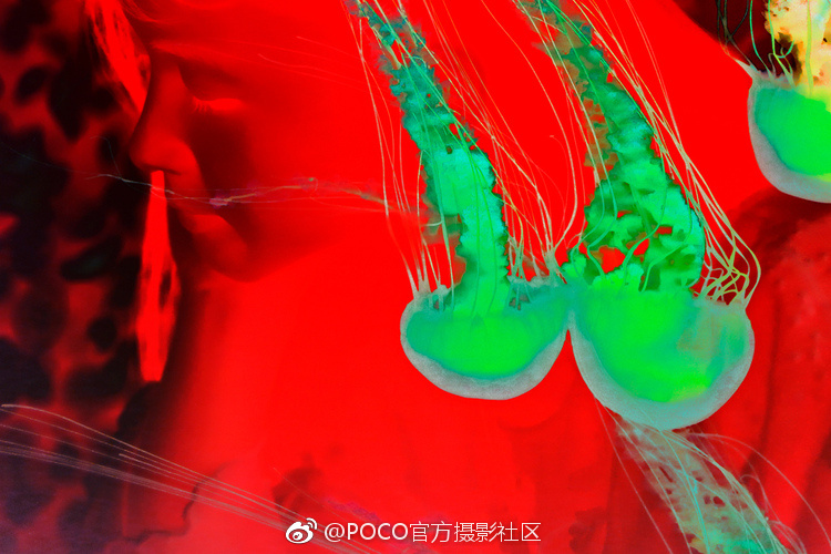 黄色电影特级俄罗斯老太婆裸体