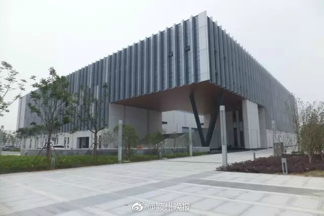 日日撸