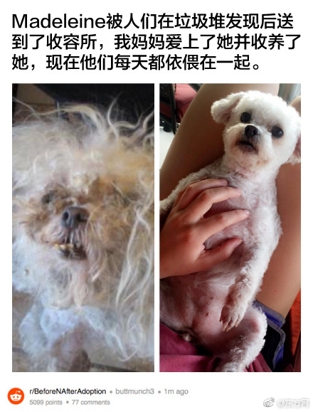 张柏芝扒开双腿流白浆