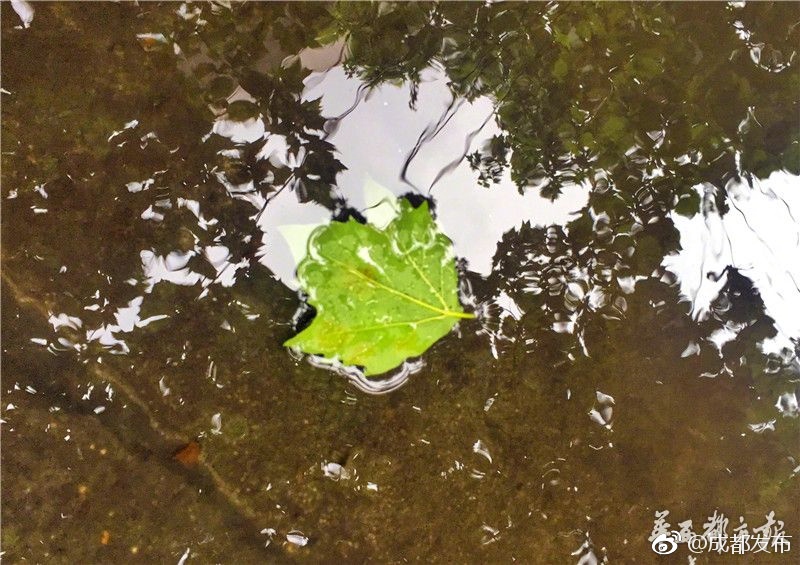 欧美乱伦淫片视频