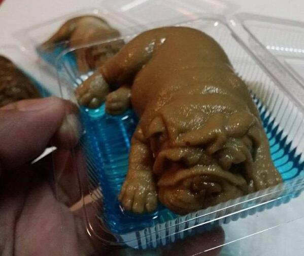 日本成人视频在线观看