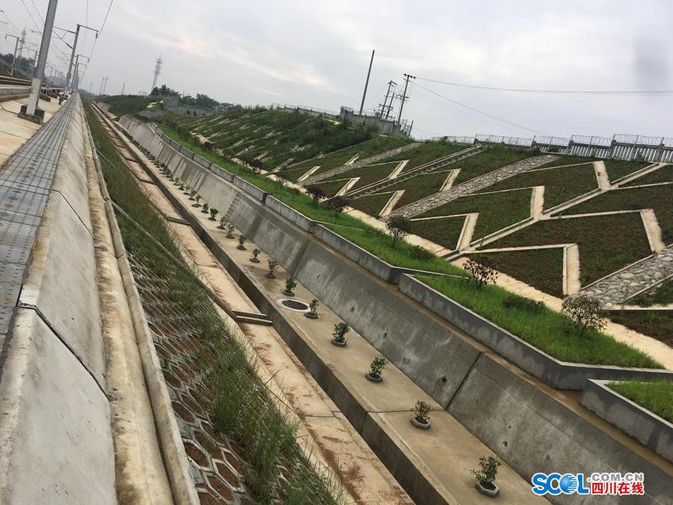 杨幂全裸无码片
