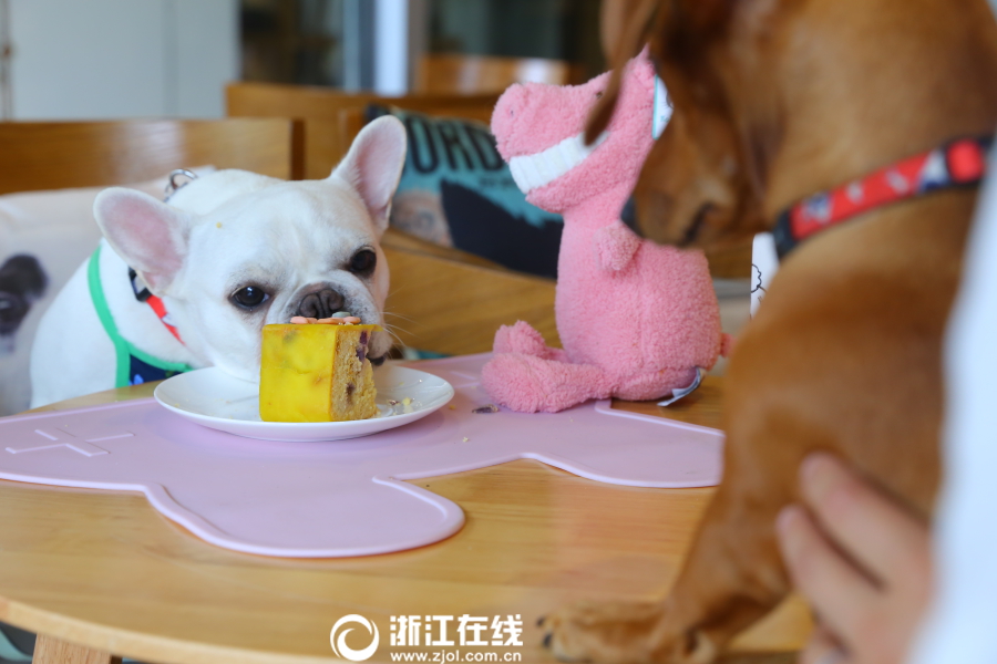 白丝魅魔玉足夹住榨精
