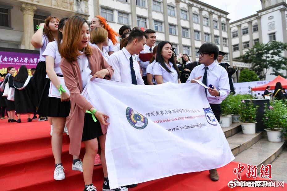 张柏芝两腿之间毛毛图片