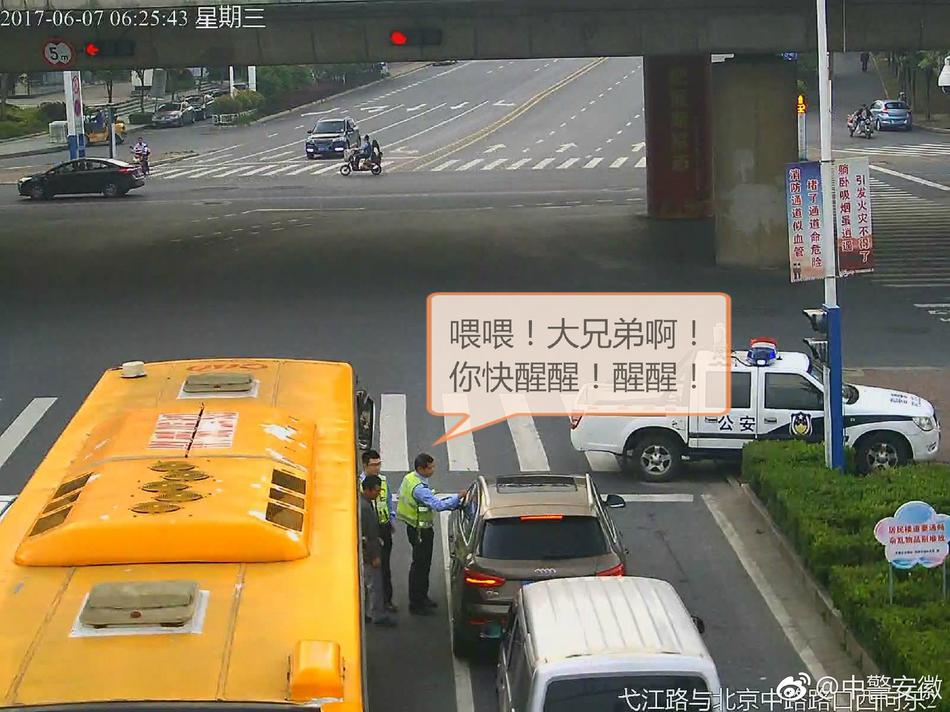 最新 成人 网