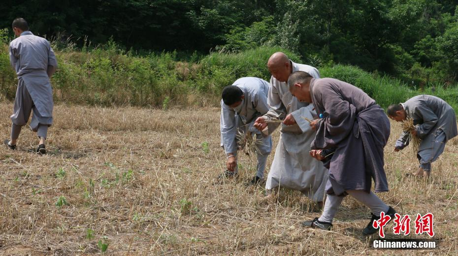 杨依销魂人体极品150p