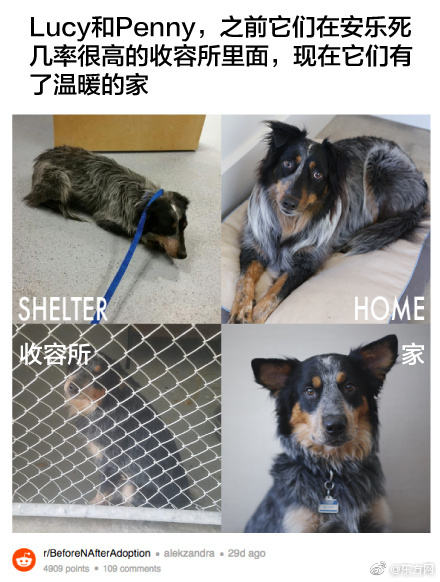 玄冰
