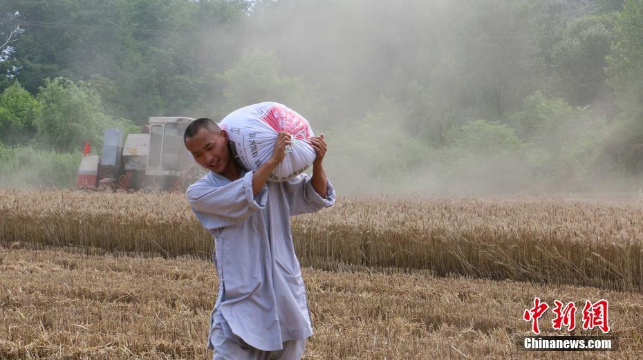 日本少妇高潮抽搐