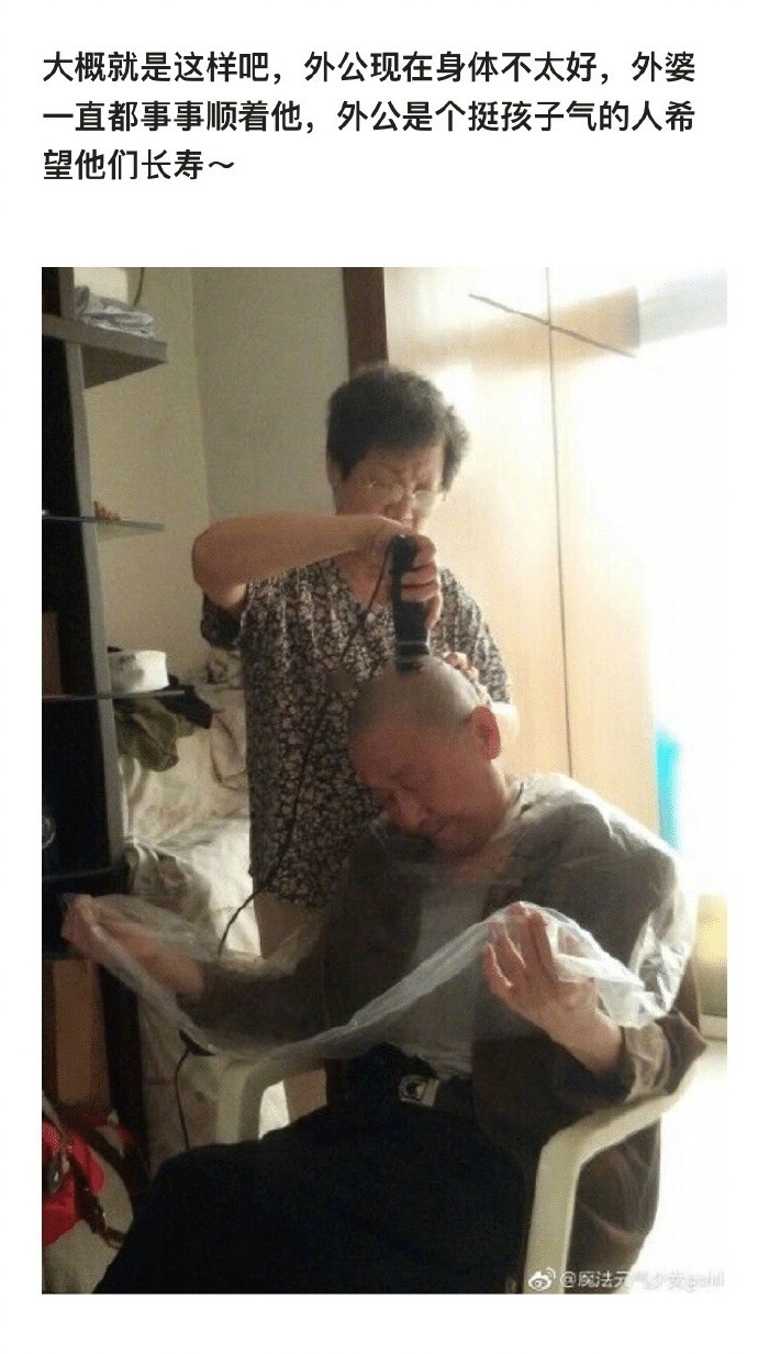 薇尔希7.0冷狐版汉化安卓游戏