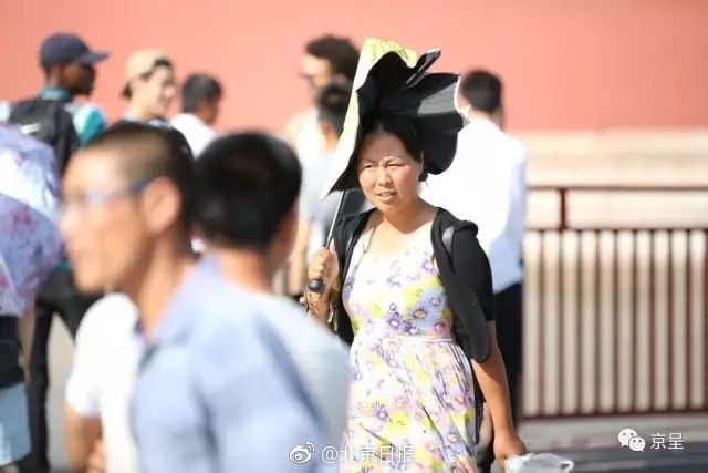 免费 成人 高清 在线 视频