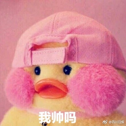 操逼应用