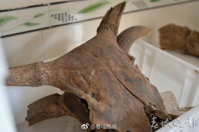波多野结衣在线无码Av观看