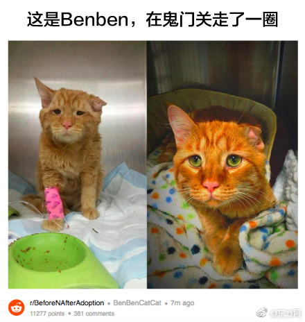 台灣脫衣舞