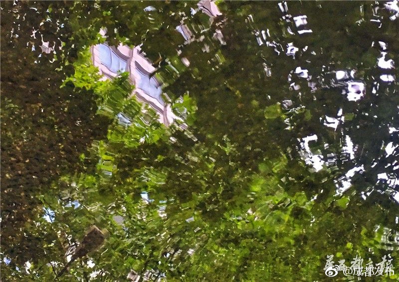 色欲岳禁在线观看