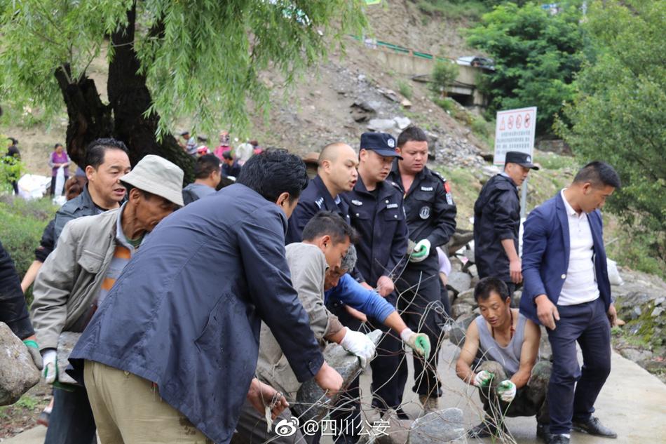沈娜娜在线观看一区