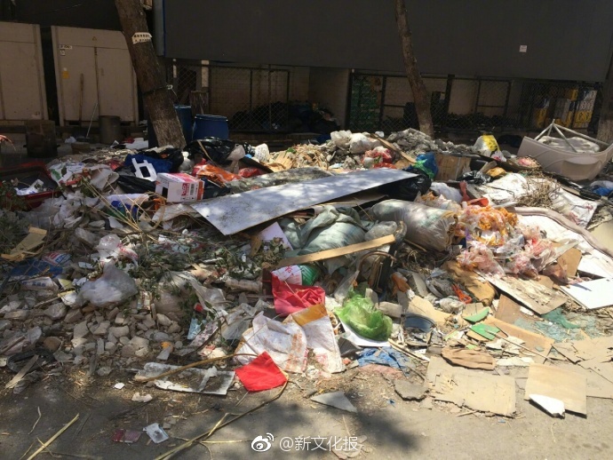 成人 小说 网站 推荐
