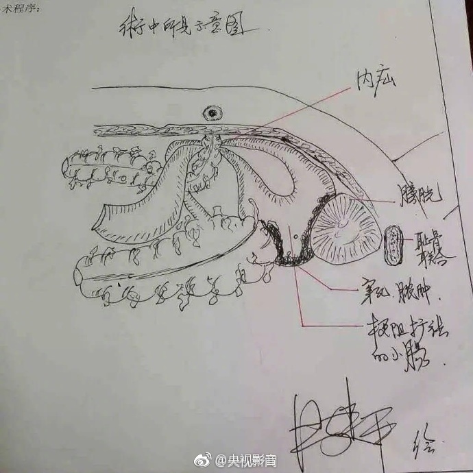 欧美三级又粗又硬