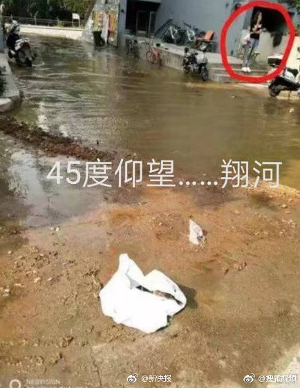成年人夫妻黄色三級网