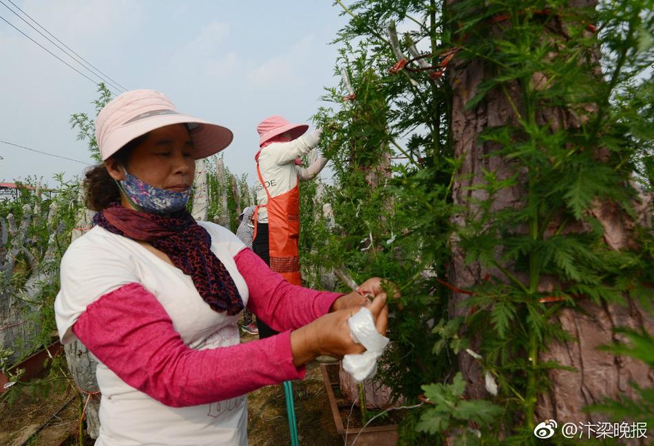 紧身裤美女扒开腿秘 让人桶爽