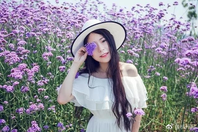 黄色污网站