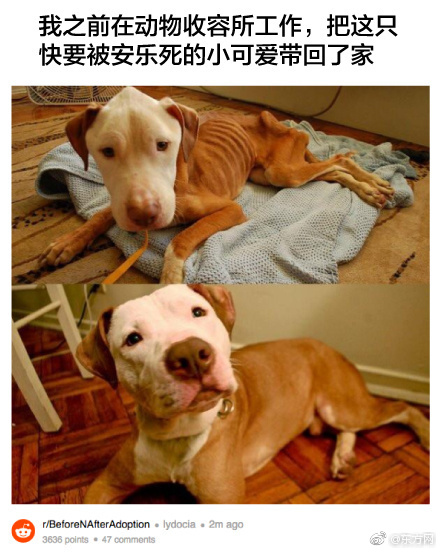 Av偷拍女人上厕所