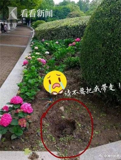 新疆美女日批批片