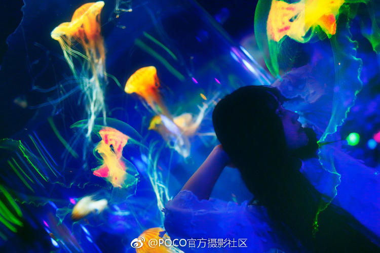 女生黄片上厕所