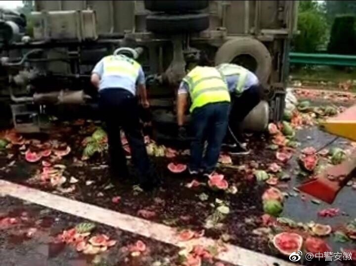 鲁大师在线看免费观看电视剧