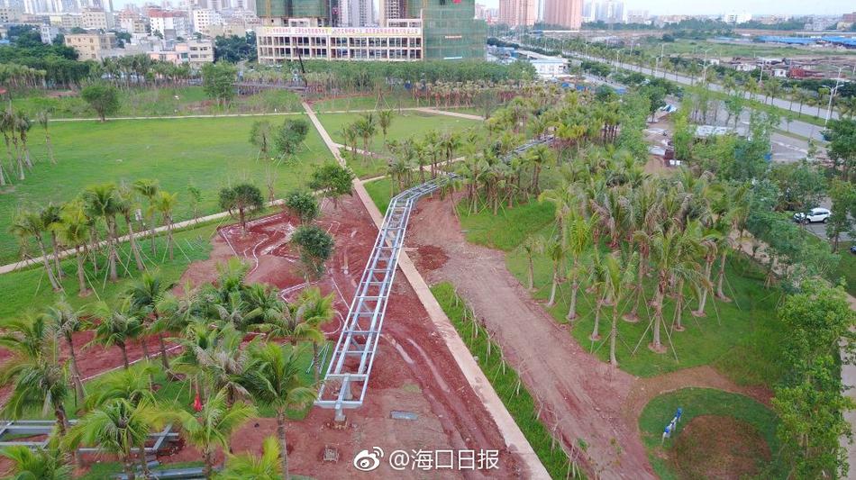 精品黄色在线免费