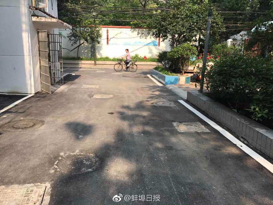 久久99视频