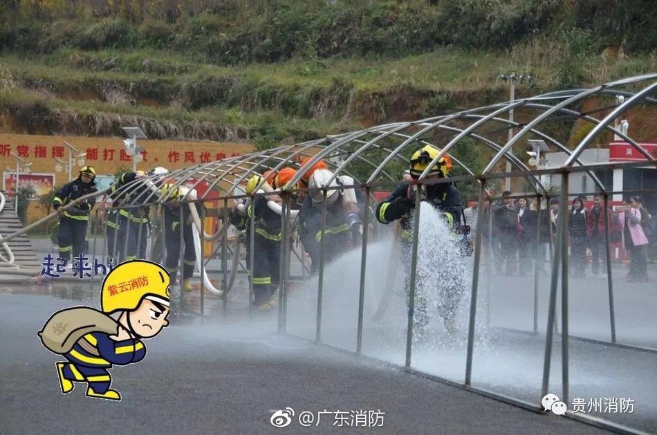 肛塞