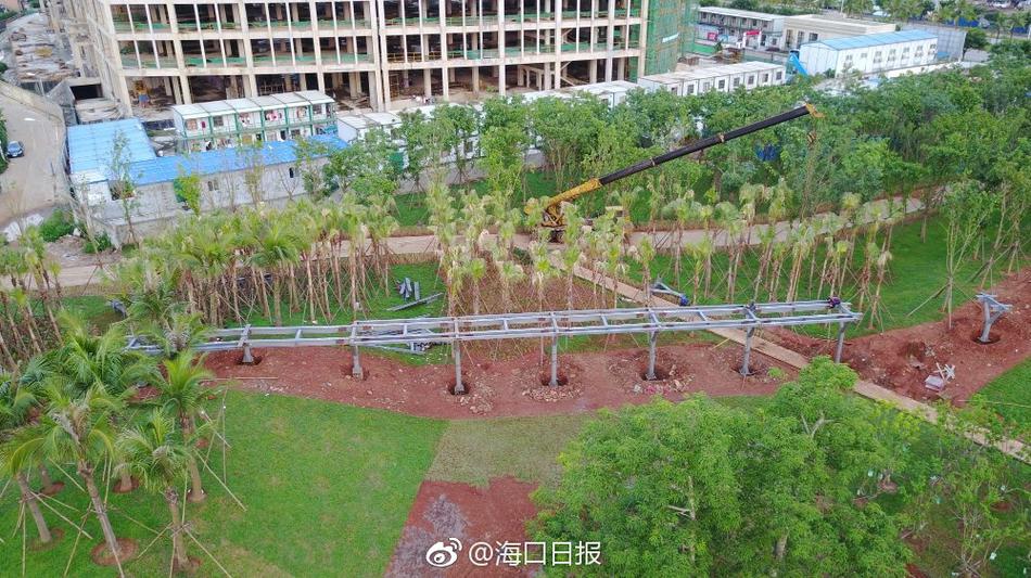 演员范冰冰一级毛片免费看
