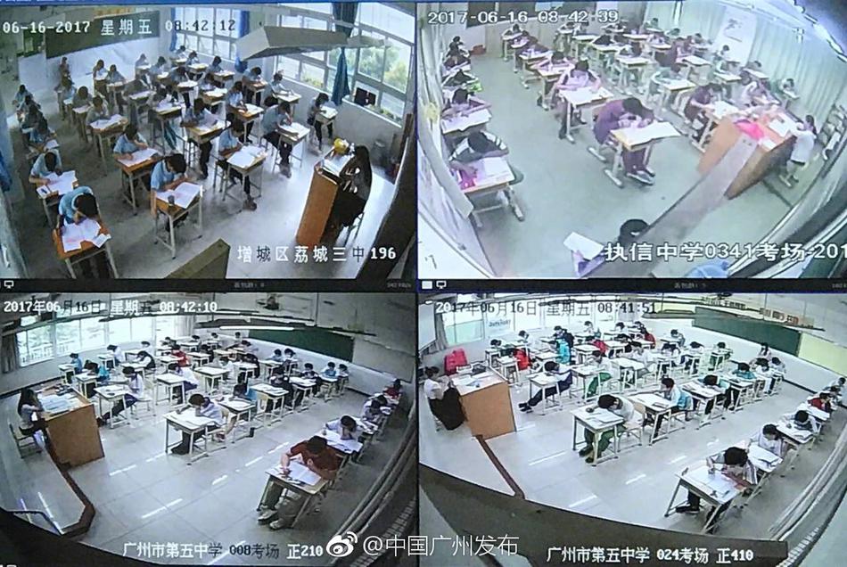 成年免费视频黄网站下载