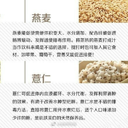 成人 做爱 网