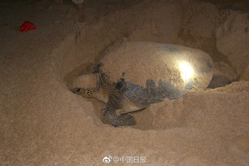 厨房脱岳裙子在后面挺进剧情介绍
